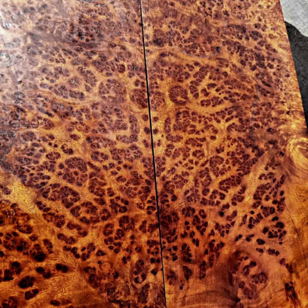 burl bud density